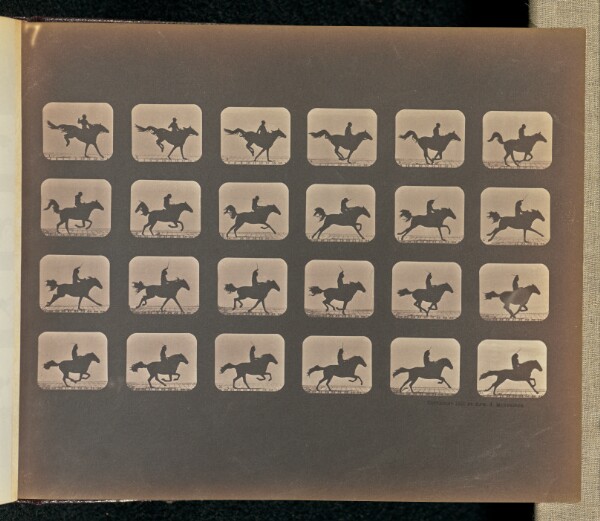 Eadweard J. Muybridge, Leaping
