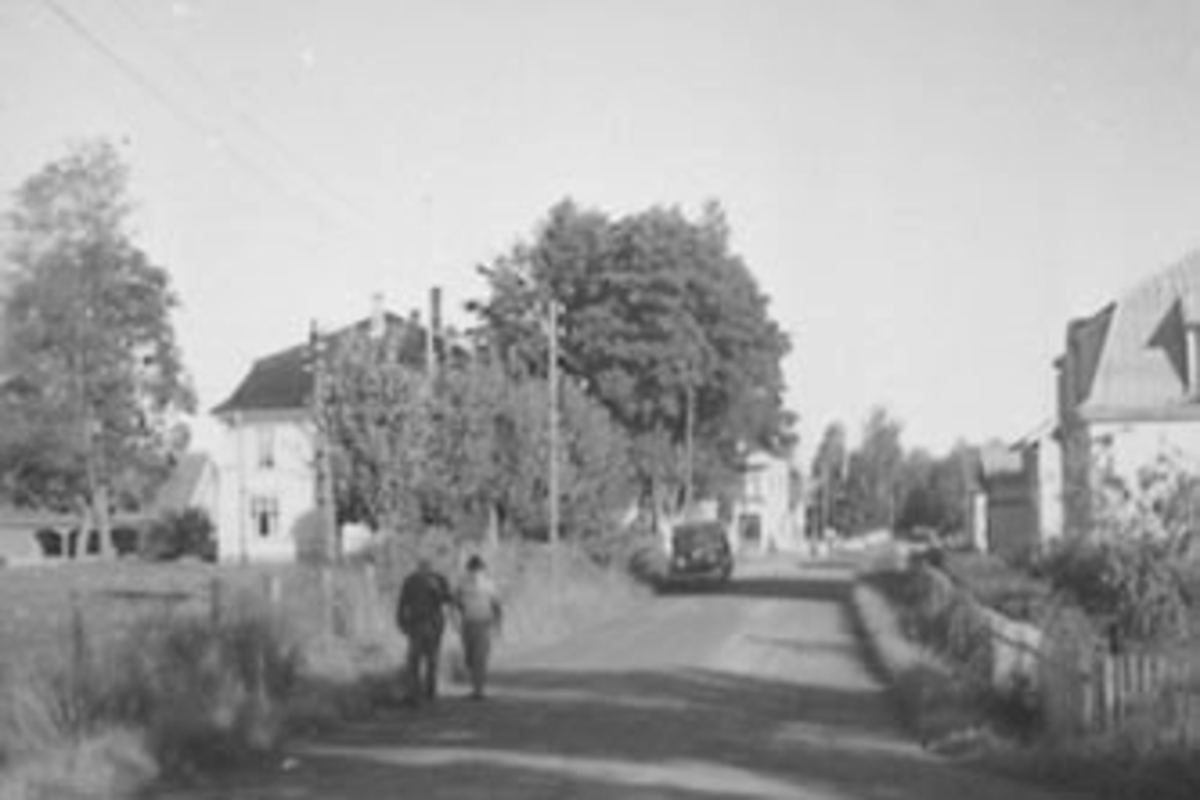 Anno Domkirkeodden, OVERSIKT RIKSVEG 50 MOT TINGVOLDKRYSSET, STANGEBYENSE ÅRBOKA GAMMALT FRÅ STANGE OG ROMEDAL 2006 S. 145