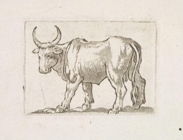 Unknown, Print