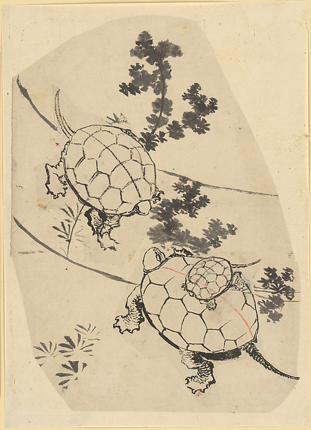 Katsushika Hokusai, Turtles