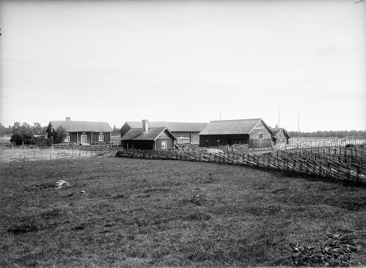 Paul Sandberg, Gårdsmiljö - Vilhelm Karlsson, Hållen, Hållnäs socken, Uppland 1935