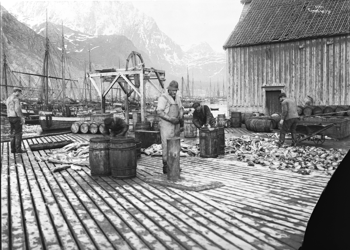 Anders Beer Wilse, Prot: Fisken sløies