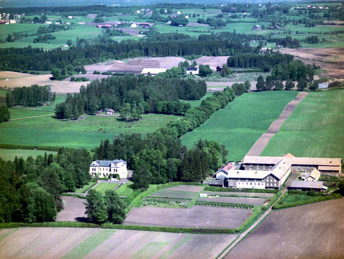 Widerøes Flyveselskap A/S, FLYFOTO ATLUNGSTAD