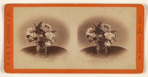 Edward and Henry T. Anthony & Co., [Flowers in a large glass]