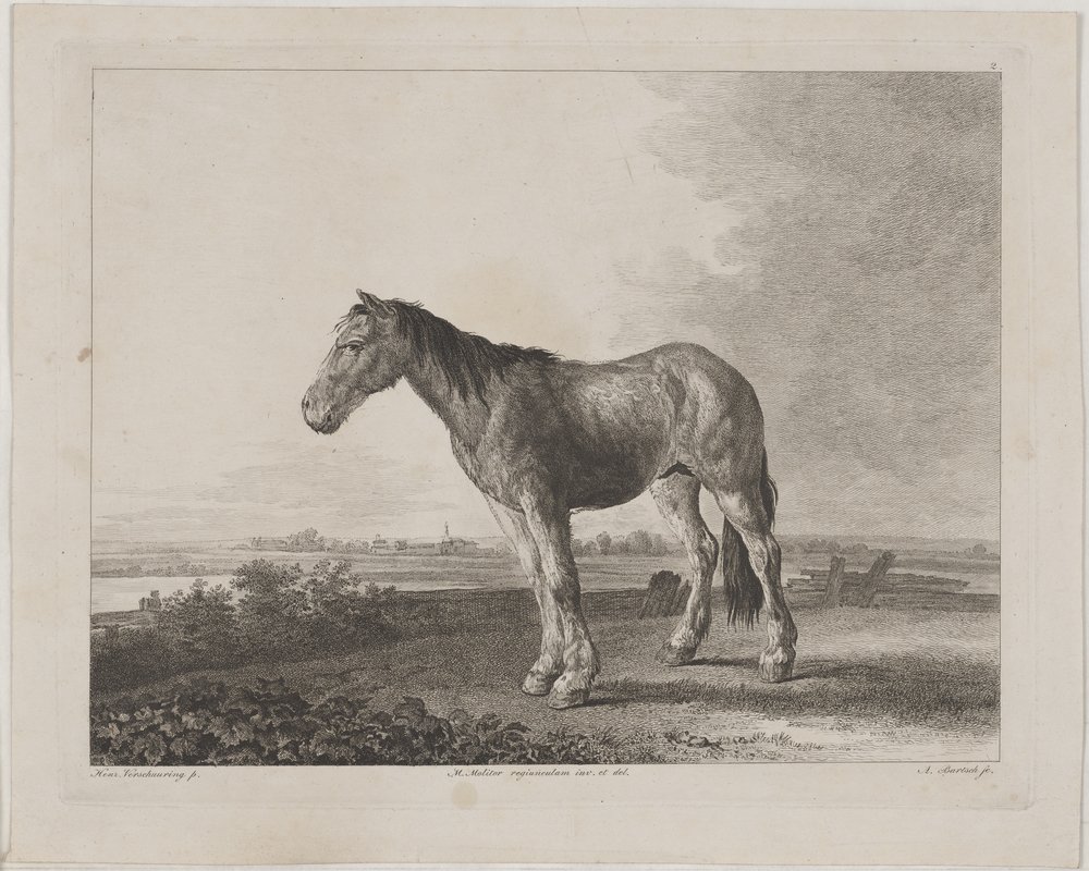 Johann Adam von Bartsch, Pferd