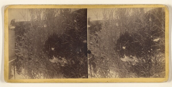 Edward and Henry T. Anthony & Co., Winter in the Catskills. [Ice and snow]