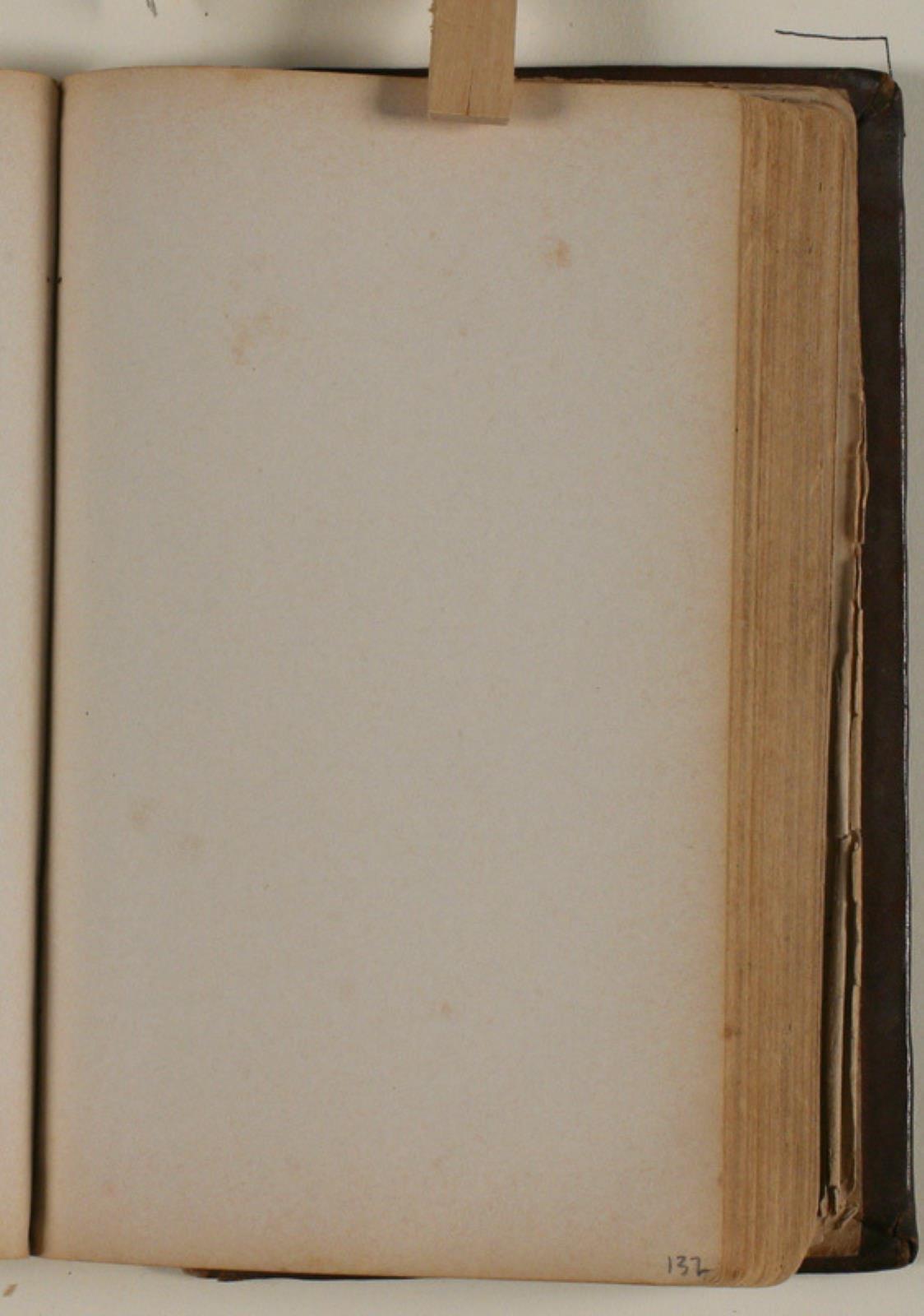 Niels Larsen Stevns, Blank