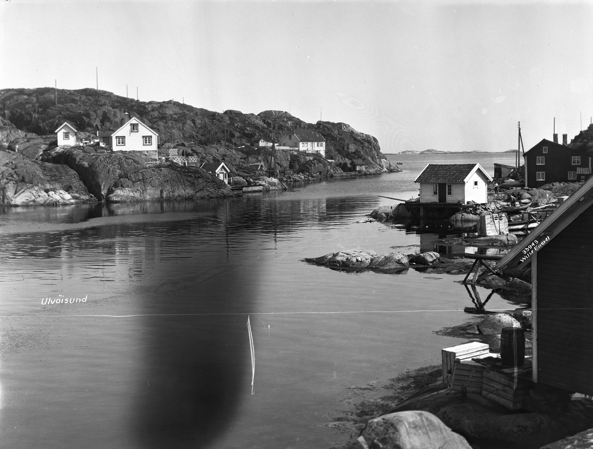 Anders Beer Wilse, Prot: Sørlandet - Ulvøisund