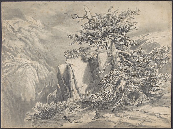 Alexandre Calame, Broken Tree in  Moutainous Landscape