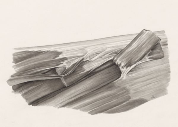 J Tinkelenberg, Muscular tissue
