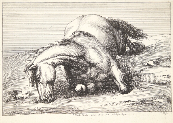 Jan van Huchtenburg, Falden hest, set forfra