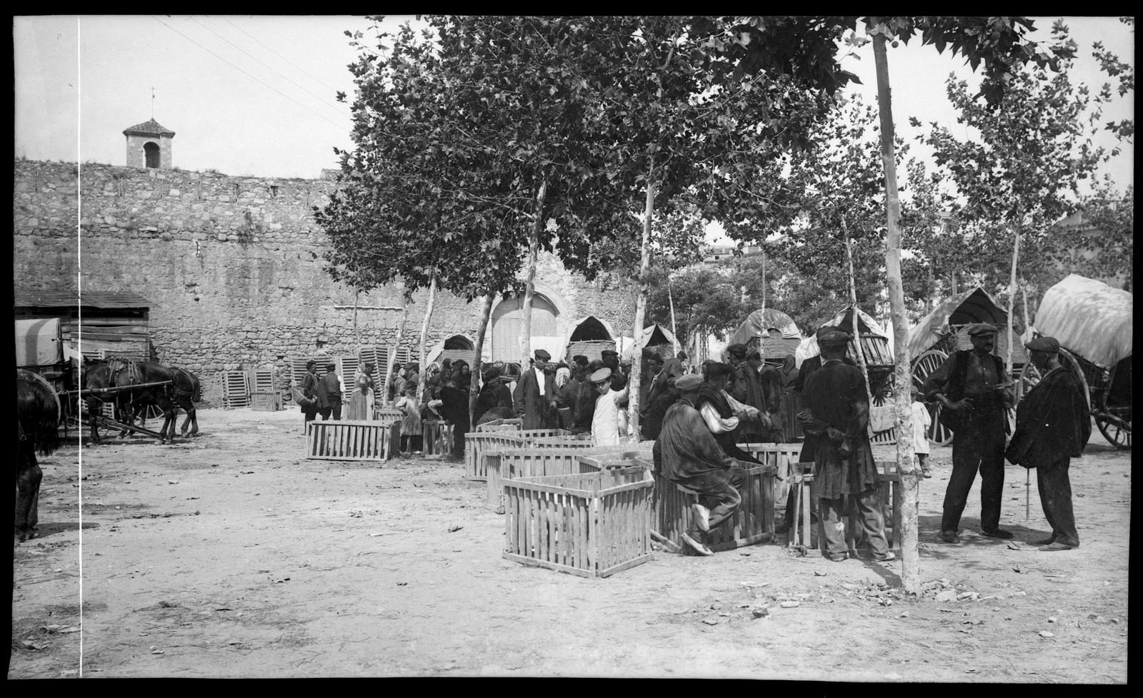 Desconegut, 7.Gerona-Mercado de Ganado de Cerda