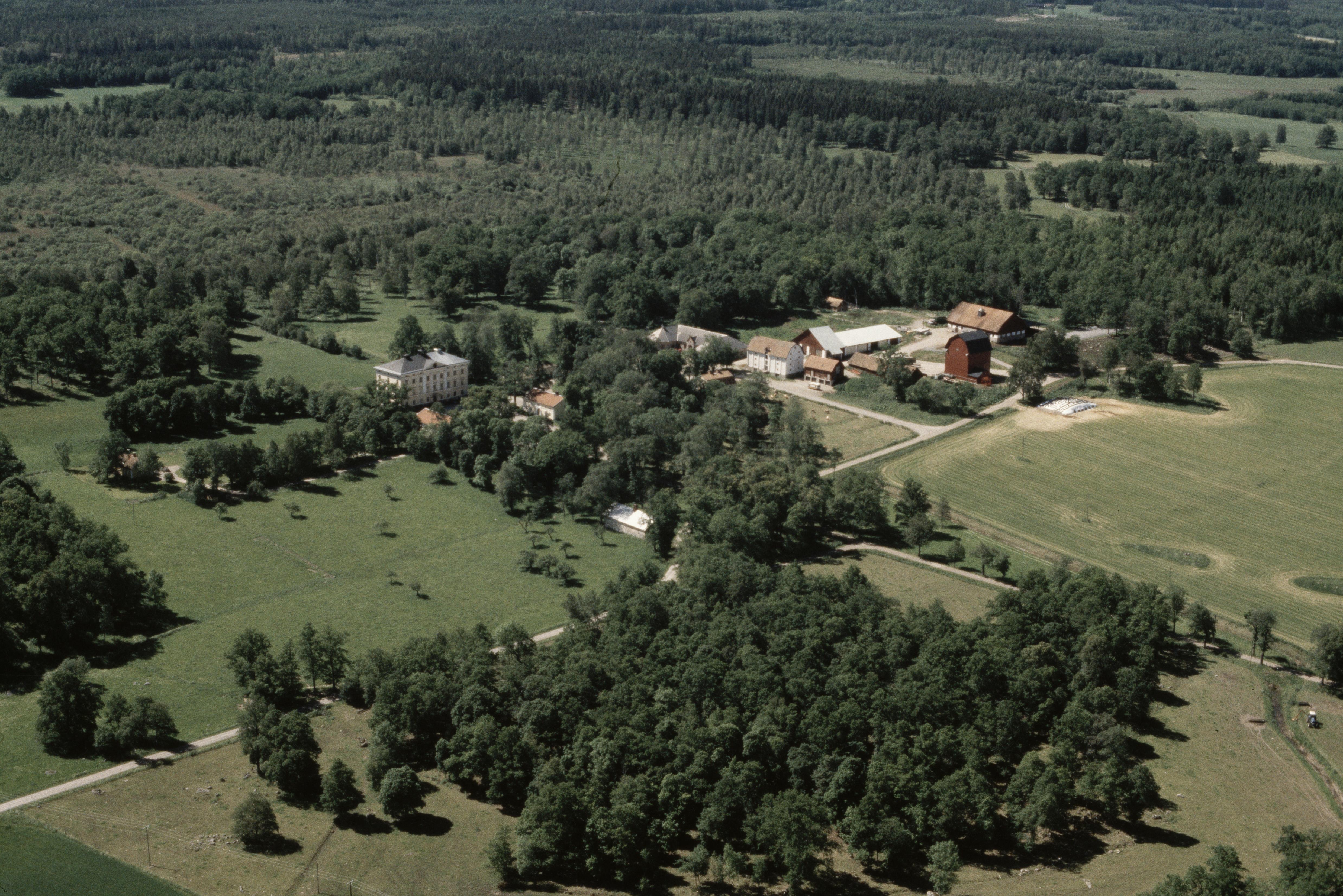 Jan Norrman, Barva 100:1