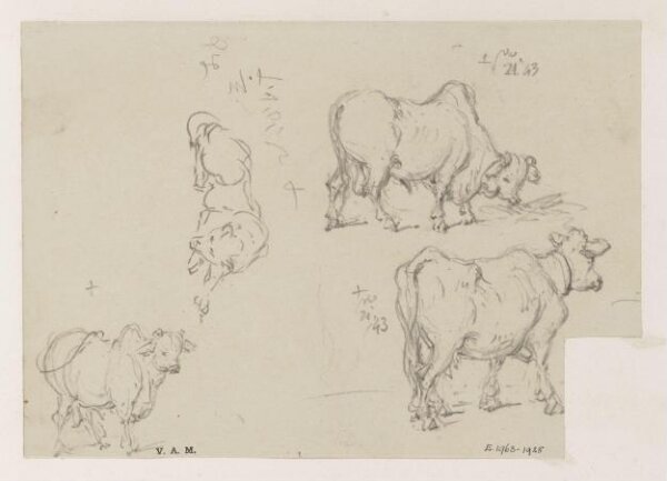 George Chinnery, Three drawings of a cow, and one of a dog