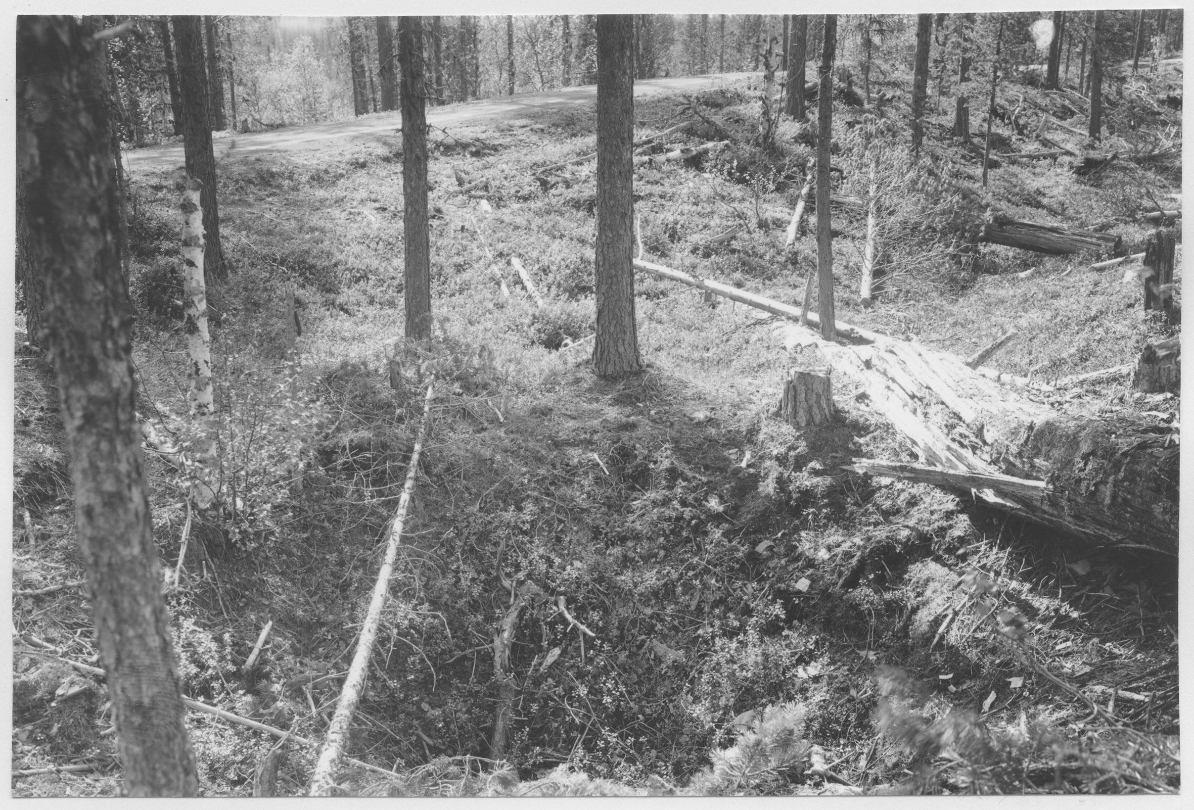 Mårten Sjöbeck, Sandsele