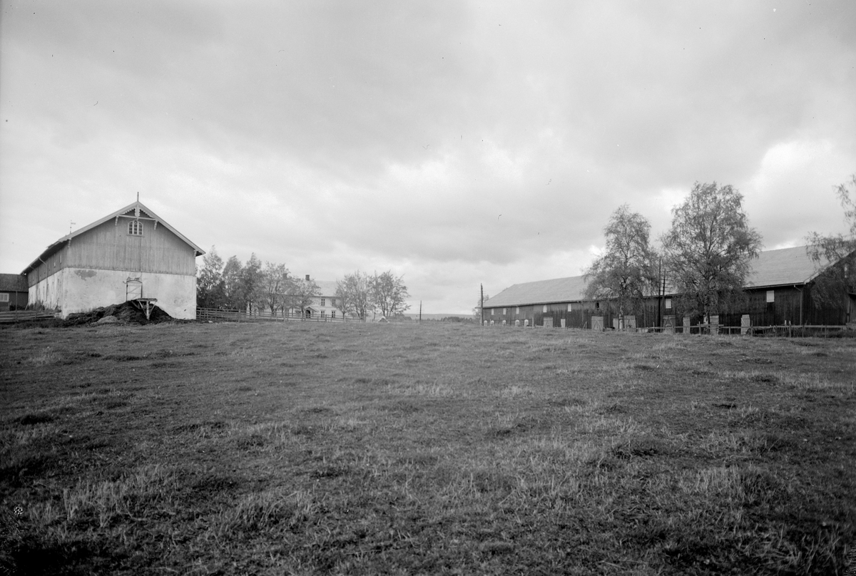 Anno Domkirkeodden, EKSTR: GARDSTUN, VEN, LØTEN. Se Løtenboka, bind 1. Bygdeboka fra 1949, side 231