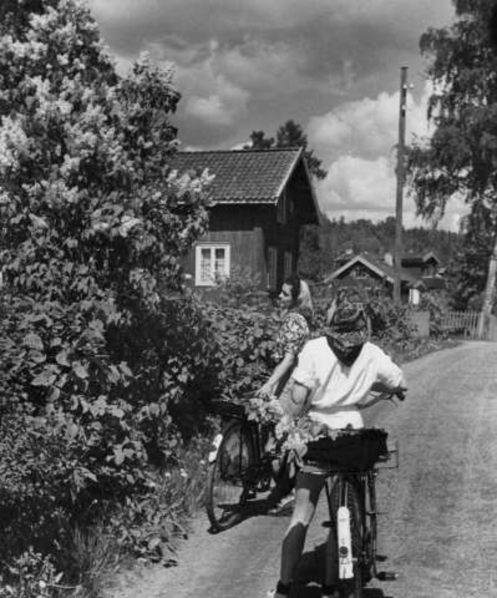 Anders Beer Wilse, -6242