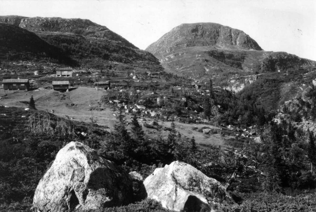 Hermann Christian Neupert, Landskap, Buskerud 1930. Oversiktsbilde. Seterbuer. Skog. Fjell i bakgrunnen.