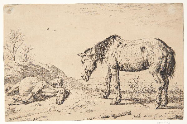 Paulus Potter, To øg, det ene døende