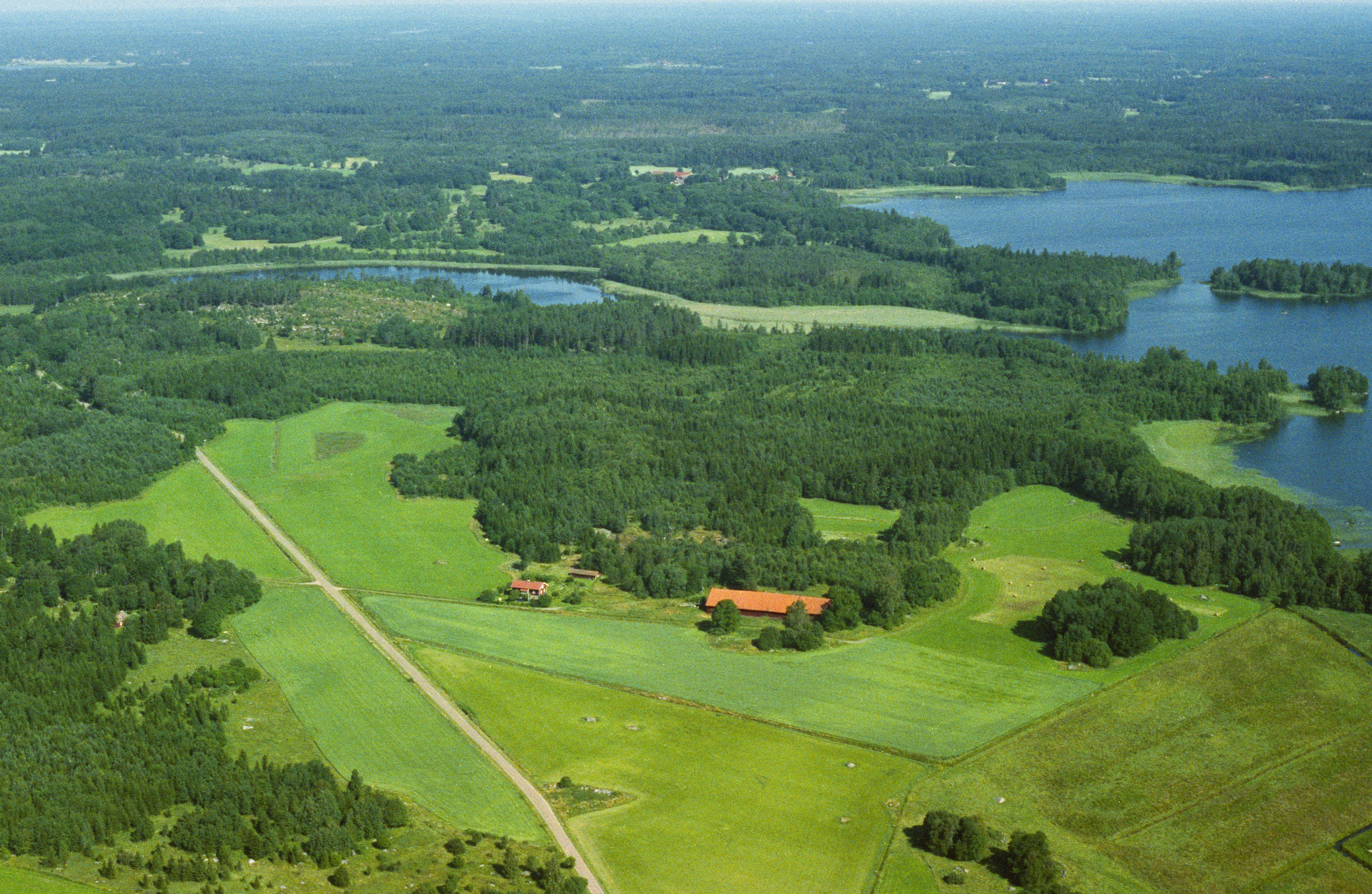 Jan Norrman, Ebbarp