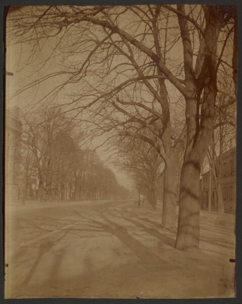 Eugène Atget, Avenue de l'Observatoire, 14° Arrondissement