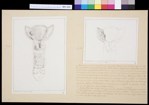M Houtman, Uterus