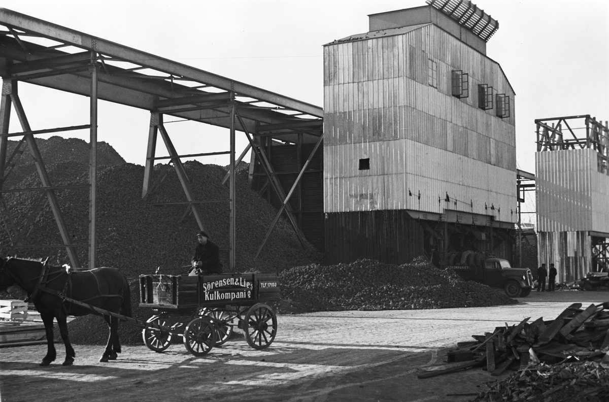Anders Beer Wilse, Prot: Koks transport