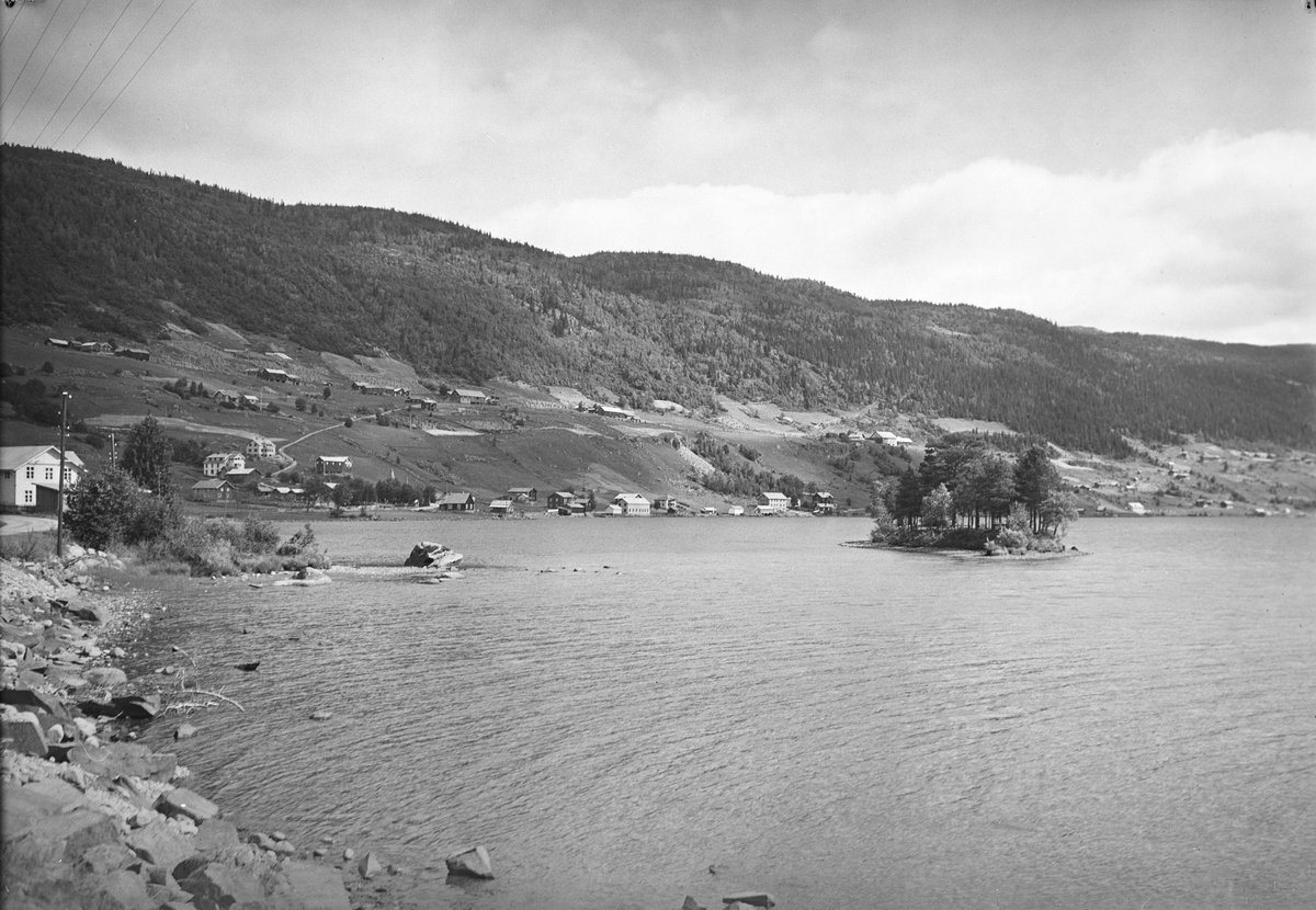 Anders Beer Wilse, Prot: Hol med Holsfjorden