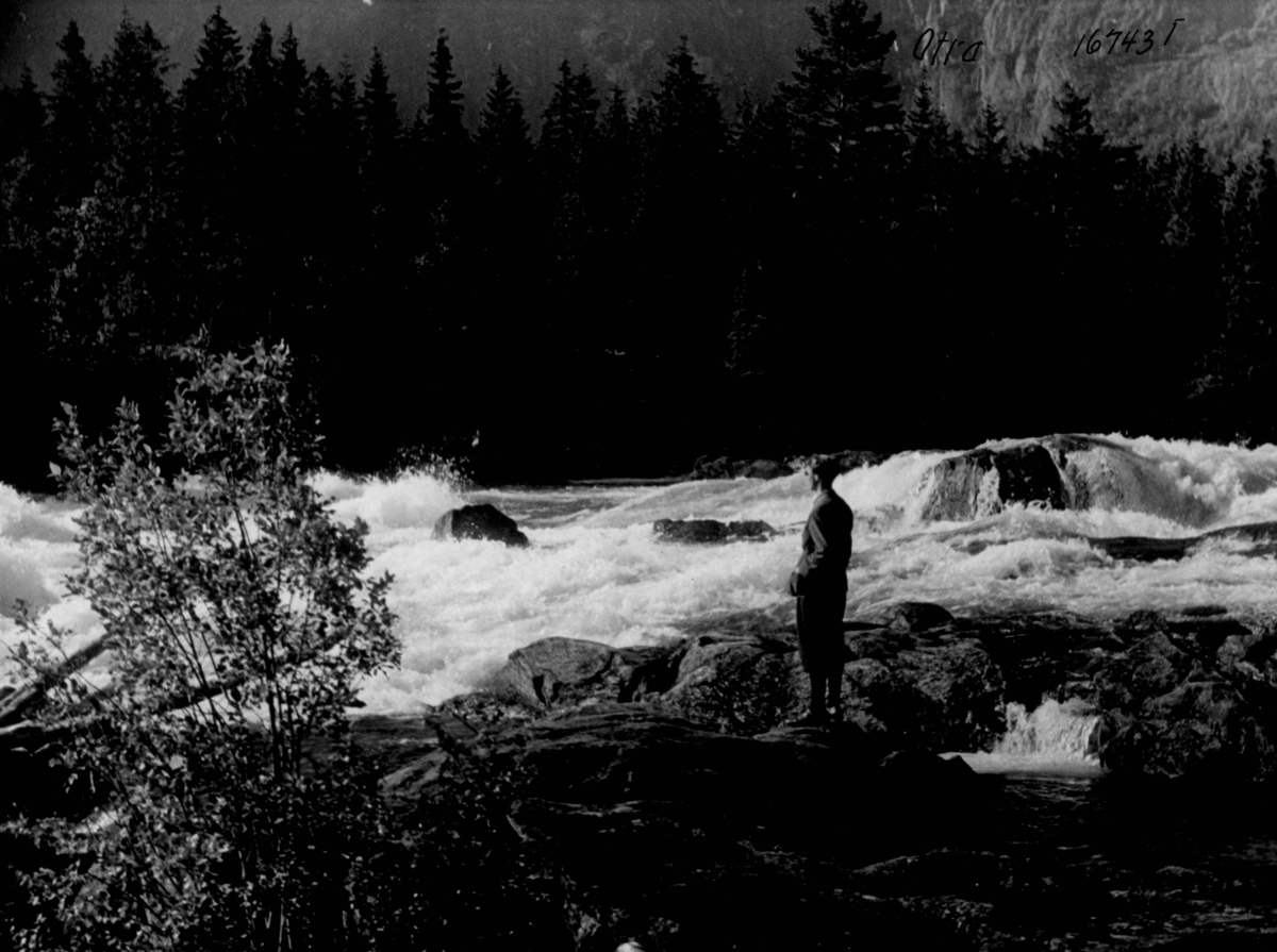 Anders Beer Wilse, Otra