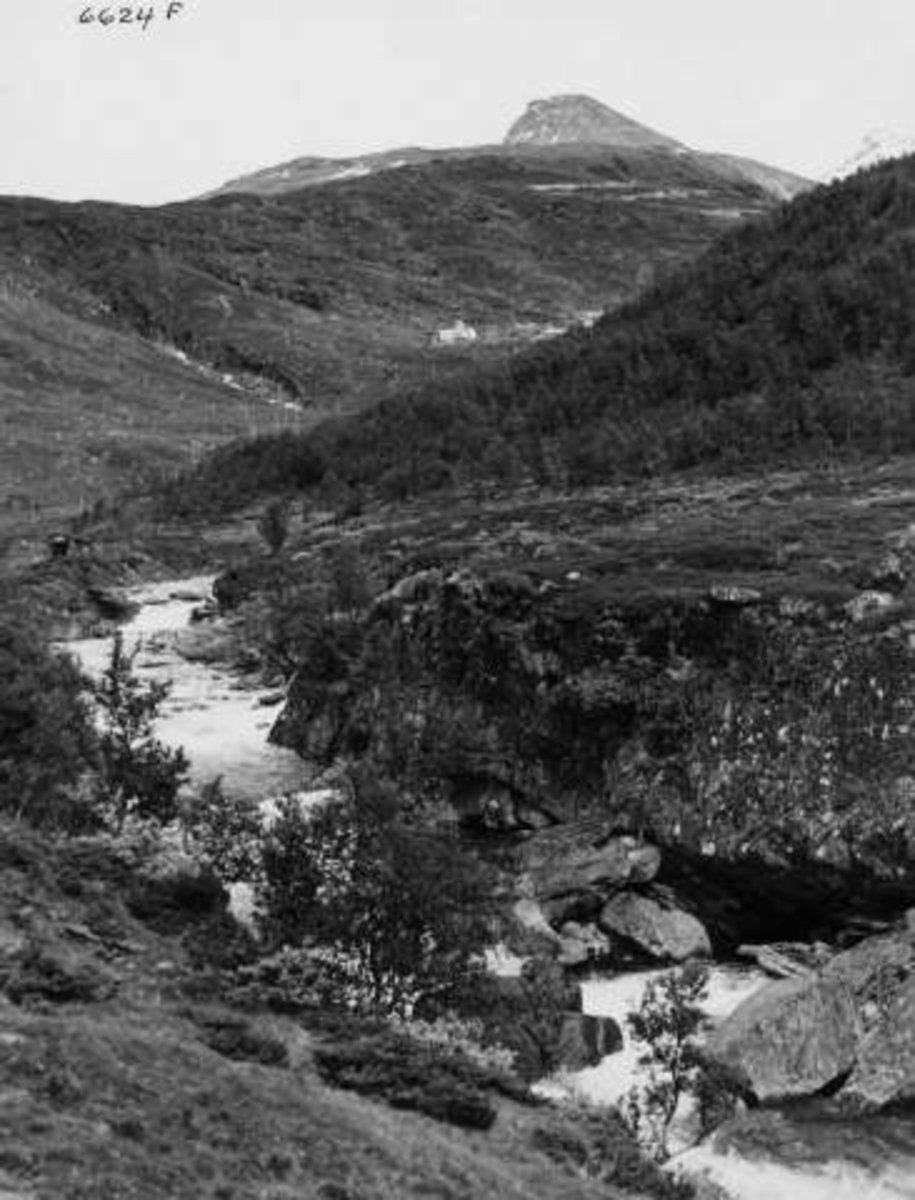 Anders Beer Wilse, -7255