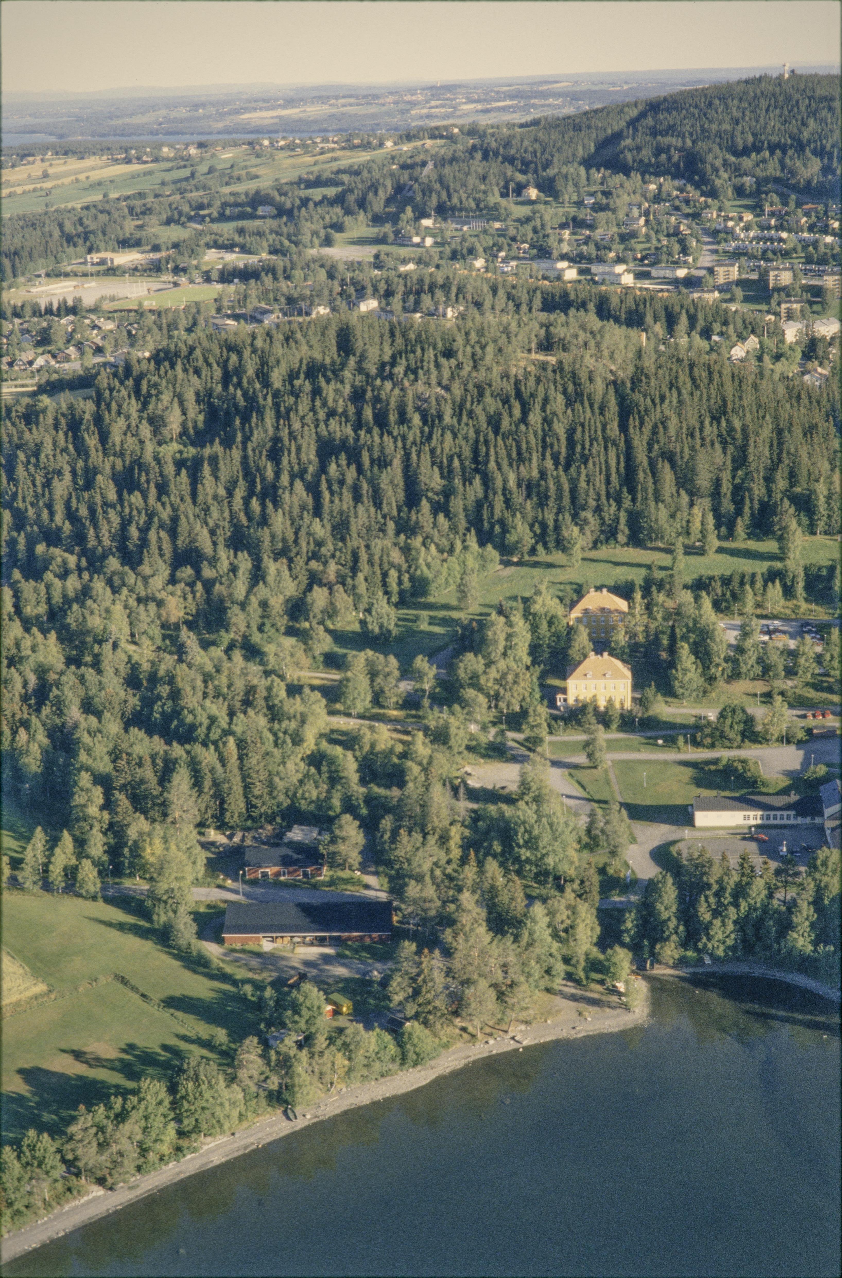 Jan Norrman, Frösö 81:1