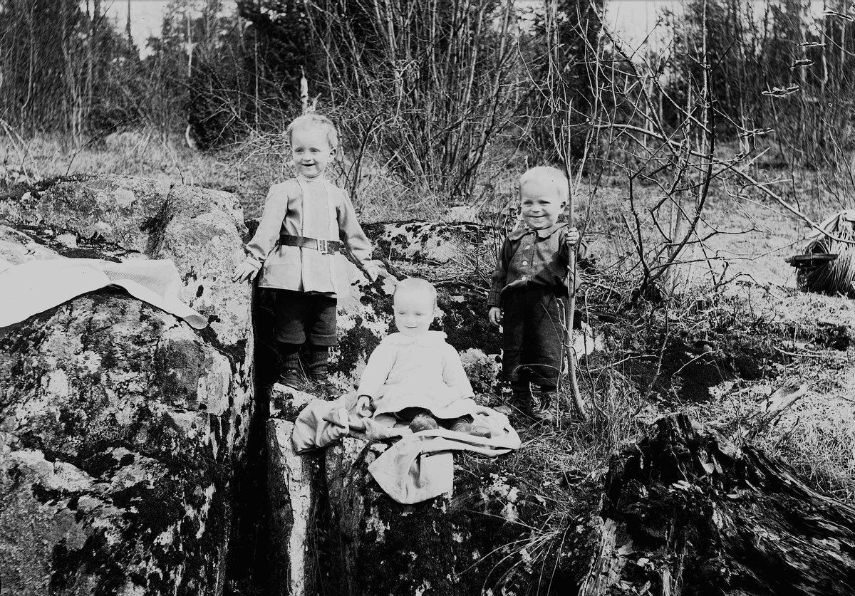 Axel Quinsgaard Wiborg, Barn sitter i krattskogen ved Digerud, Frogn, Akershus, mai 1906. Halvor Nicolai bak t.v., Simon og Thor Q. Wiborg.