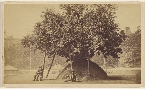 Unknown, Christ Coll[age] Newton Mulbury 200 yrs old.