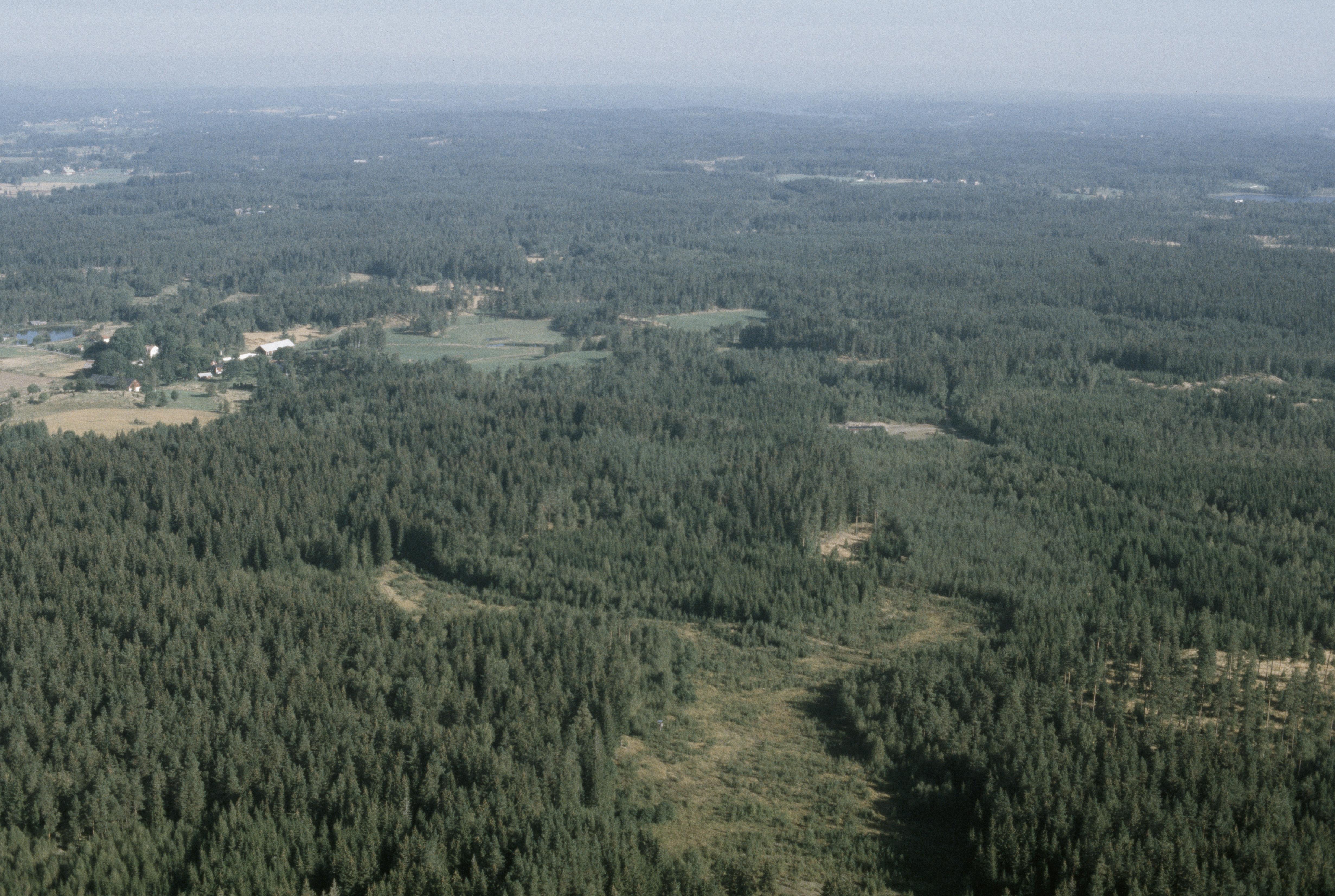 Jan Norrman, Östra Höreda