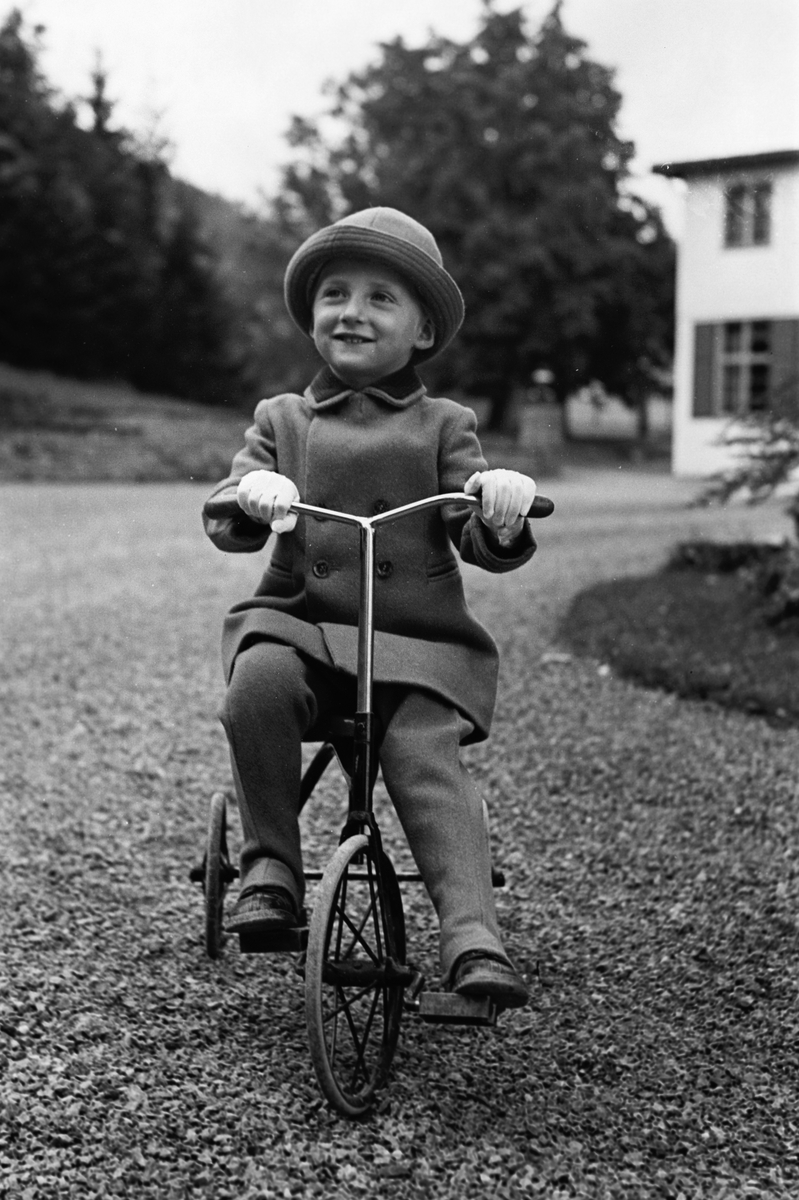 Anders Beer Wilse, Prot: Damm Cykler Harald alene