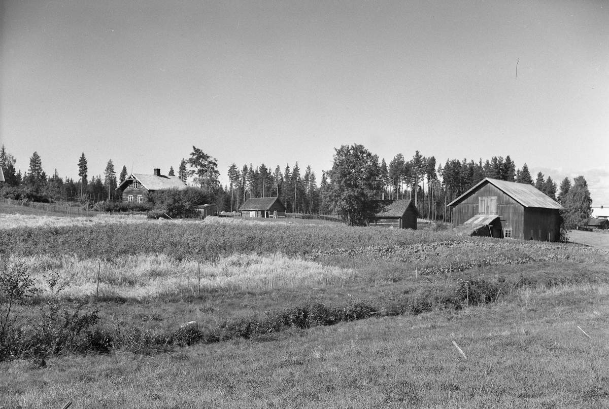 Anno Domkirkeodden, EKSTR: GARDSTUN, KJERNSHOLEN ØVRE, LØTEN. Se Løtenbok nr. 3 fra 1955 side 786