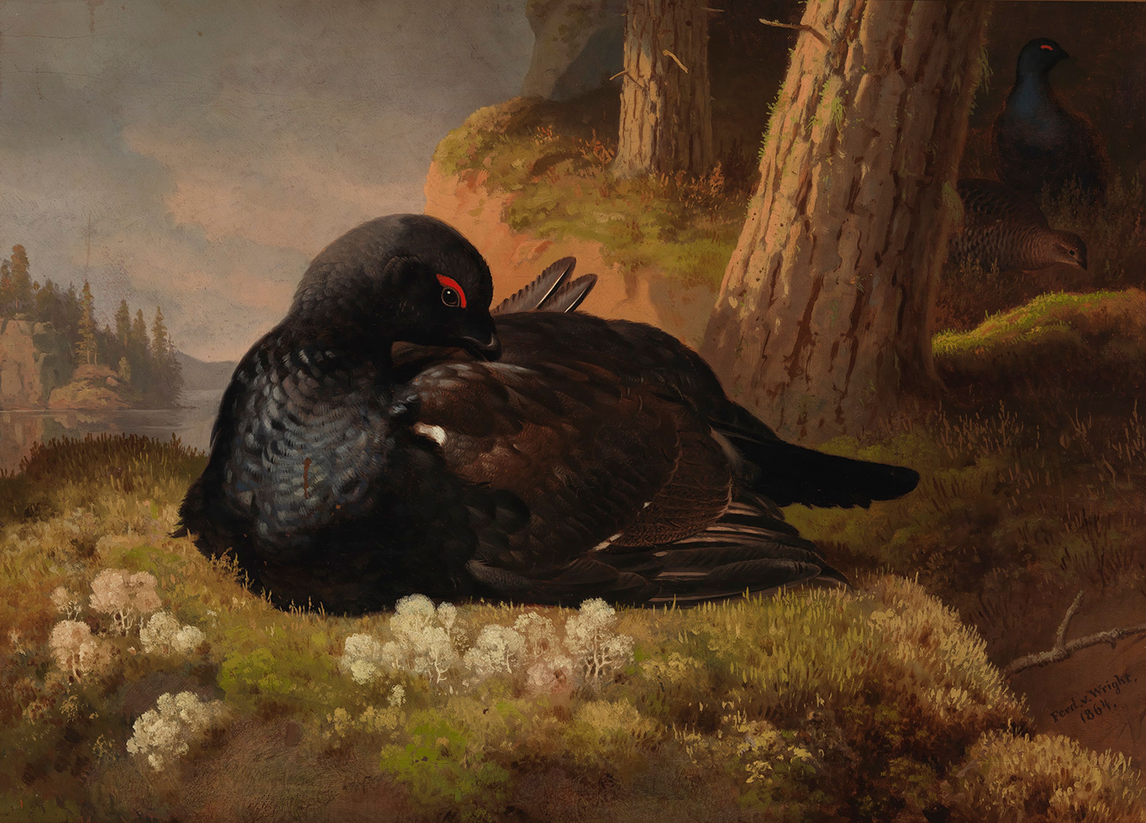 Ferdinand von Wright, Capercaillie