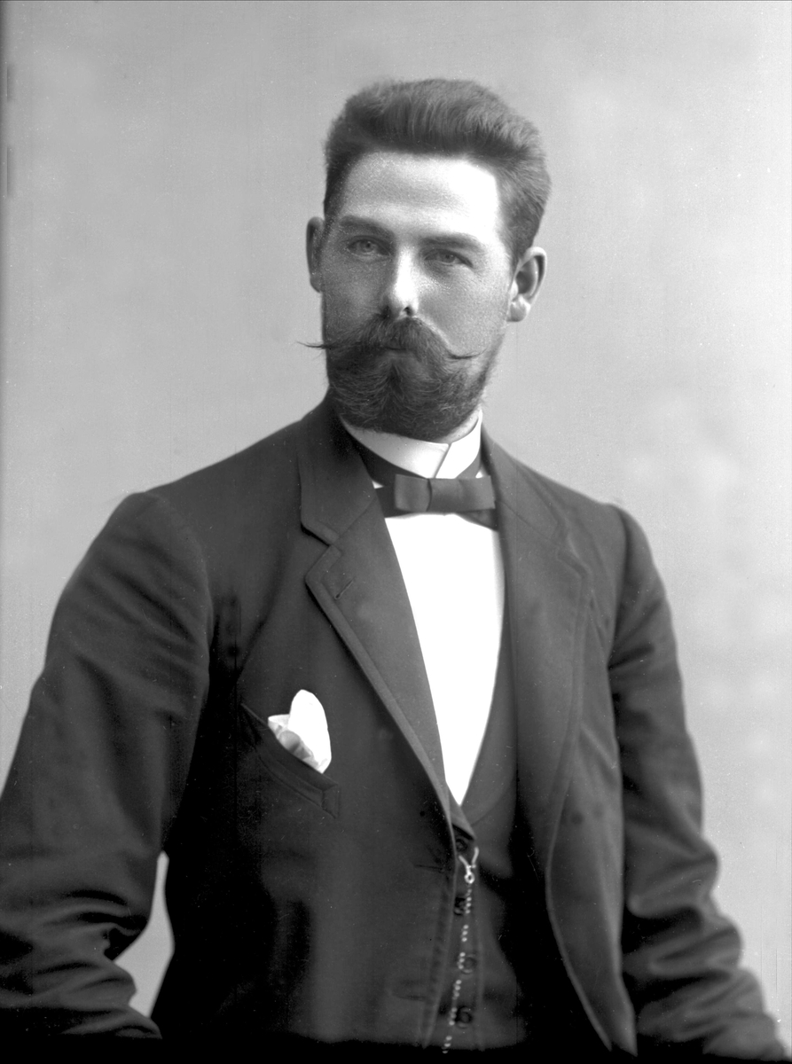 Gustav Borgen, NFB.30117