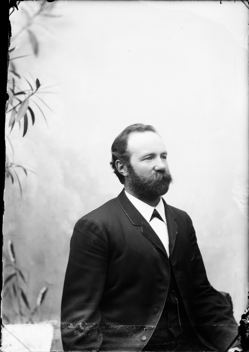 Skötsner-Edhlund, Ateljéporträtt - man, Östhammar, Uppland