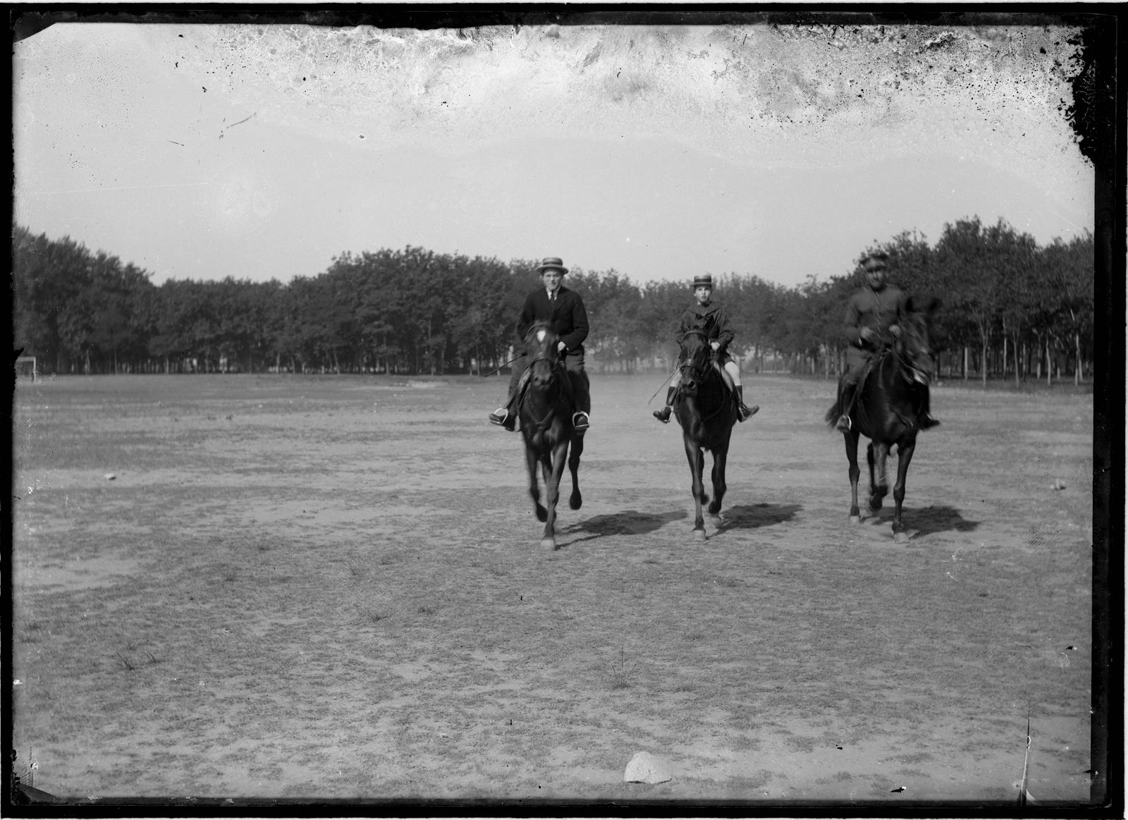 Desconegut, [Horses in the Dehesa]