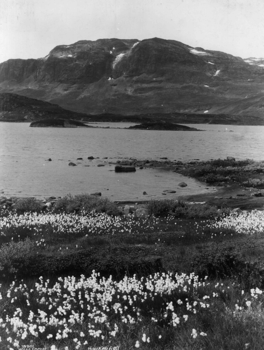 Anders Beer Wilse, Haukelifjell, Landskap
