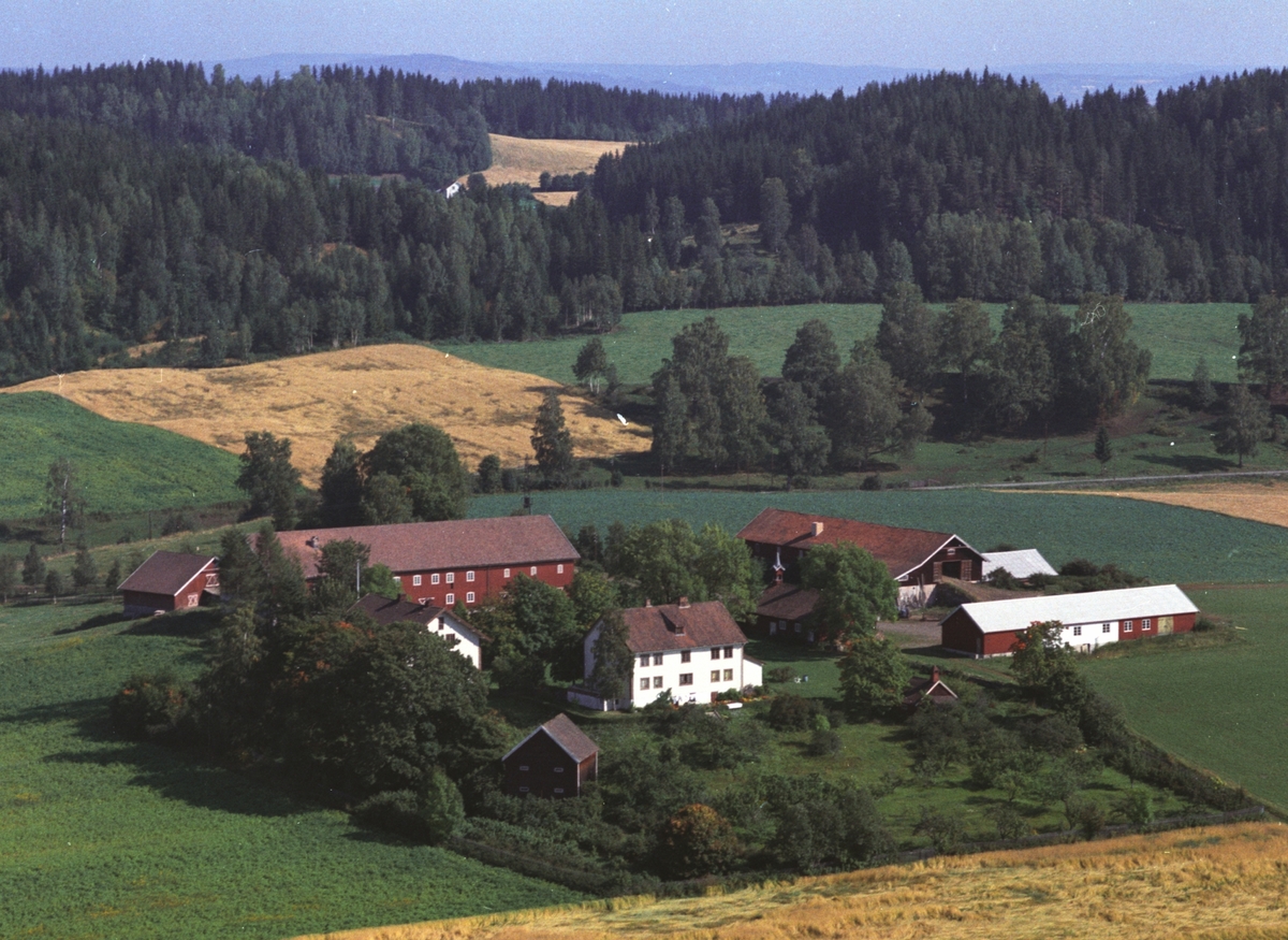 Widerøes Flyveselskap A/S, Flyfoto, Hershoug gard, Gaupen, Ringsaker.