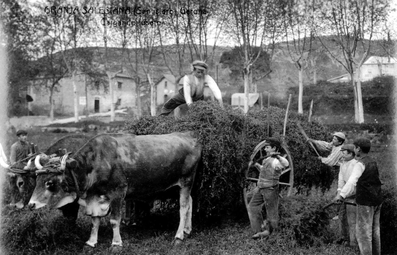 Desconegut, Granja Salesiana (San Isidro) Gerona. Gargando userda