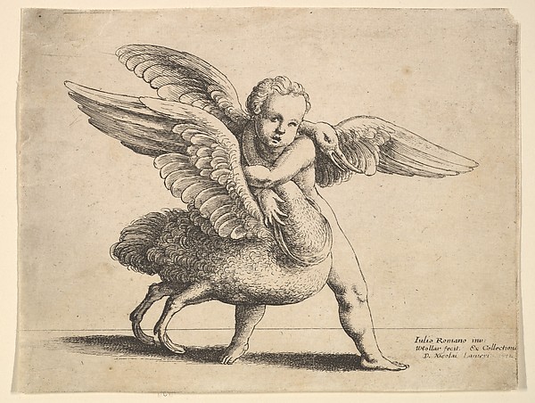 Wenceslaus Hollar, Cupid and the swan