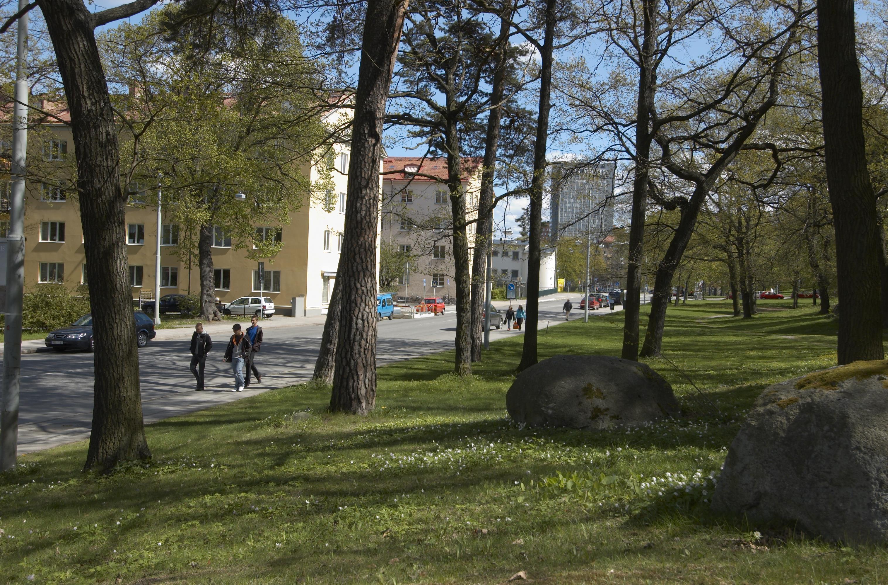 Bengt A Lundberg, Fredhäll