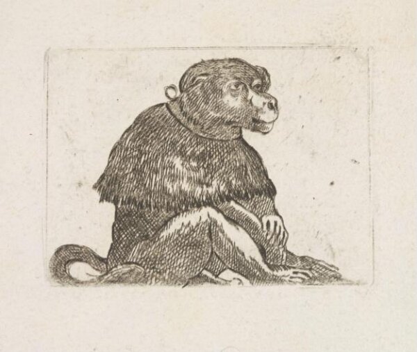 Unknown, Print