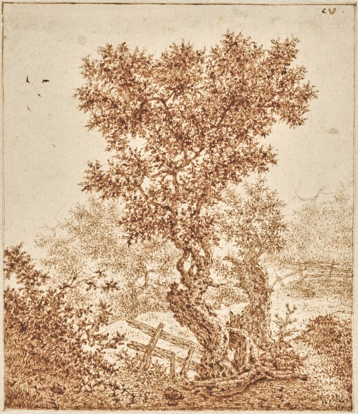 Claes van Beresteyn, Knotty Old Tree in the Dunes with a Fence