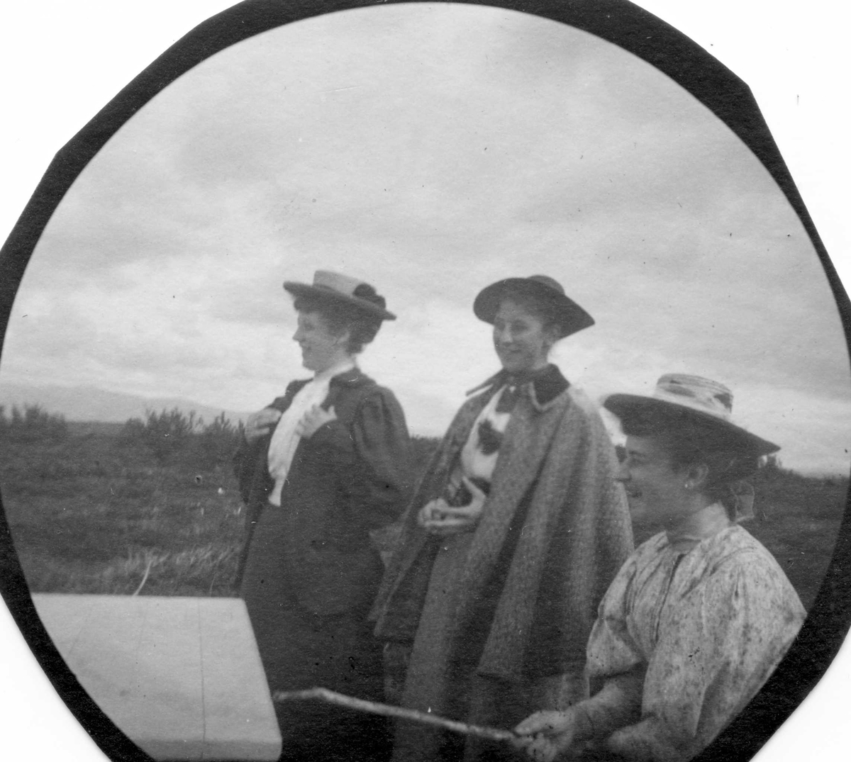 Fredrik Carl Mülertz Størmer, Fra venstre frk. Margit Holm, frk. Ingeborg Willumsen og frk. Margit Willumsen i fjellandskap.