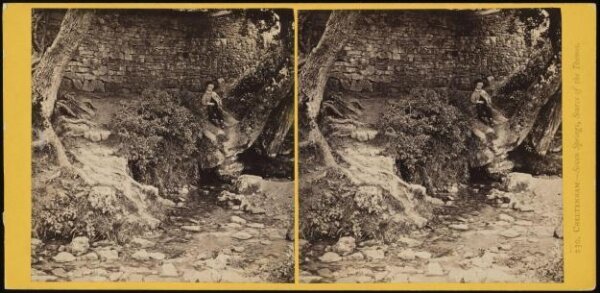 Francis Bedford, Cheltenham - Seven Springs, The Source of the Thames