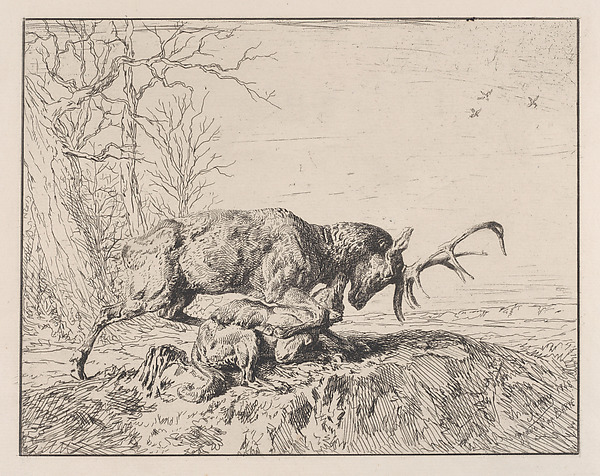 Charles Jacque, Stag Fighting a Wolf, after Antoine Louis Barye